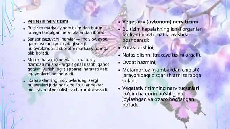 Kapalakning nerv va reproductive tizimi 5