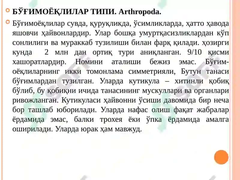 Халқали чувалчанглар тури 5