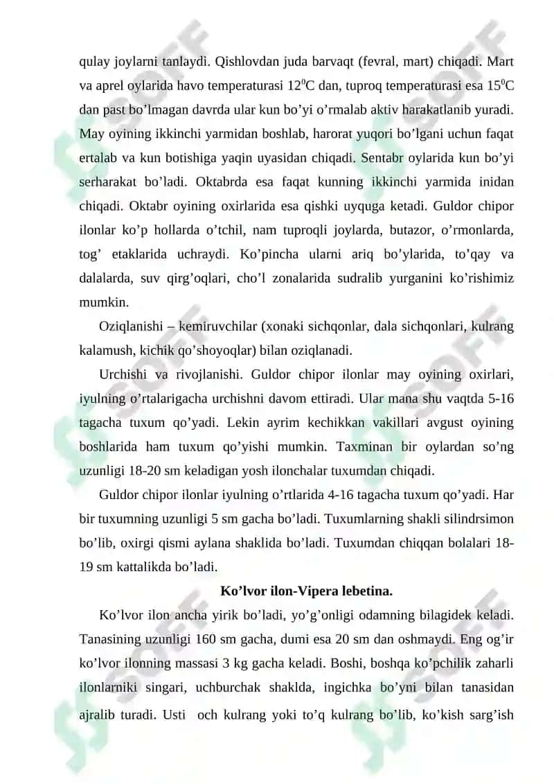 Surxondaryo viloyati sharoitida uchrovchi ilonlar 5