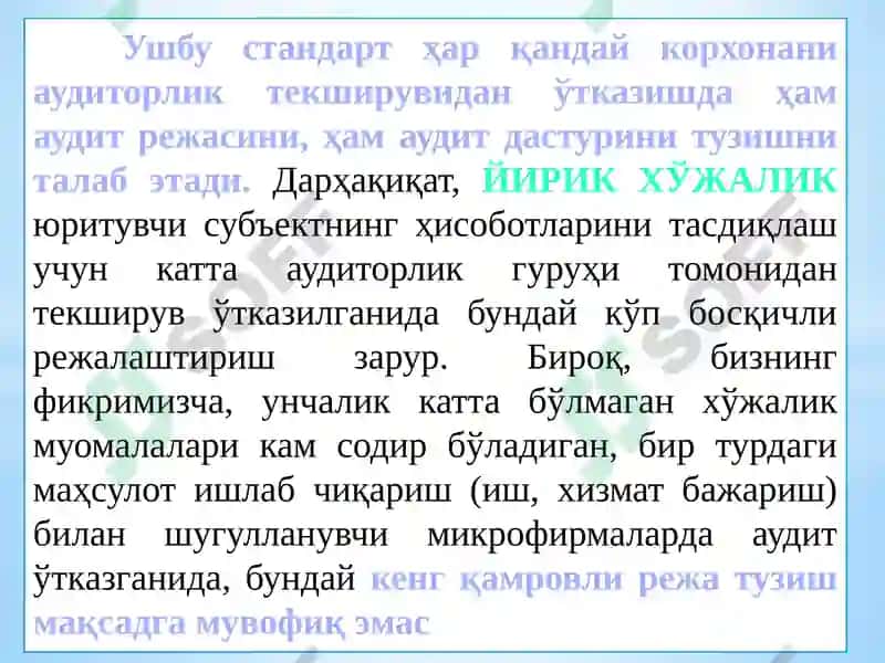 Auditorlik tekshiruvini rejalashtirish 5