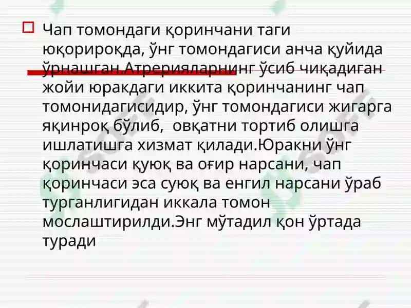ЮРАК АНАТОМИЯСИ ВА НАБЗНИНГҲОСИЛМЕХАНИЗМИ 5