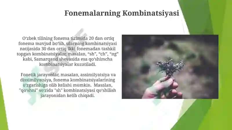 Tilning fonemalar tizimi 5