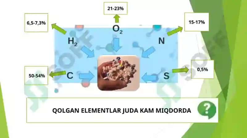 Oqsillarning Kimyoviy Tarkibi 5