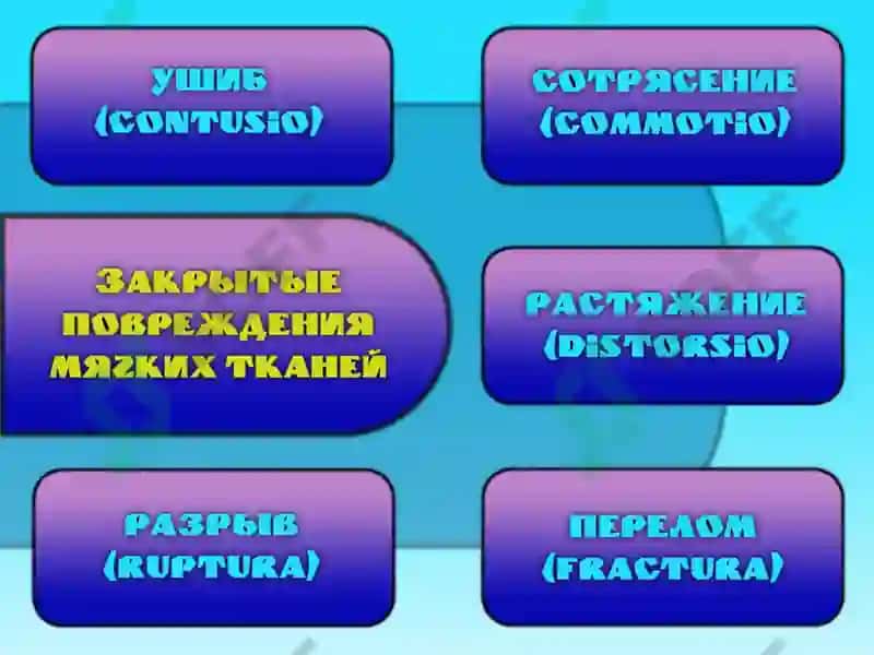 Шикастланишлар 5