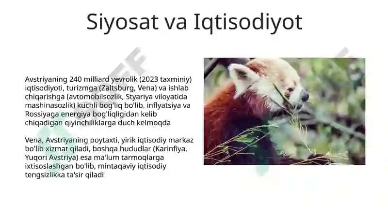 Avstriya 5