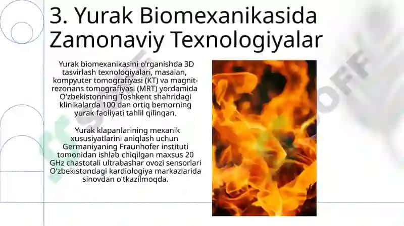 Yurak biomexanikasi elementlari 5