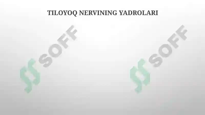 Miyachaning tuzilishi. IV-qorincha, Rombsimon bosh miya nervlari o'zaklarining joylashishi 5