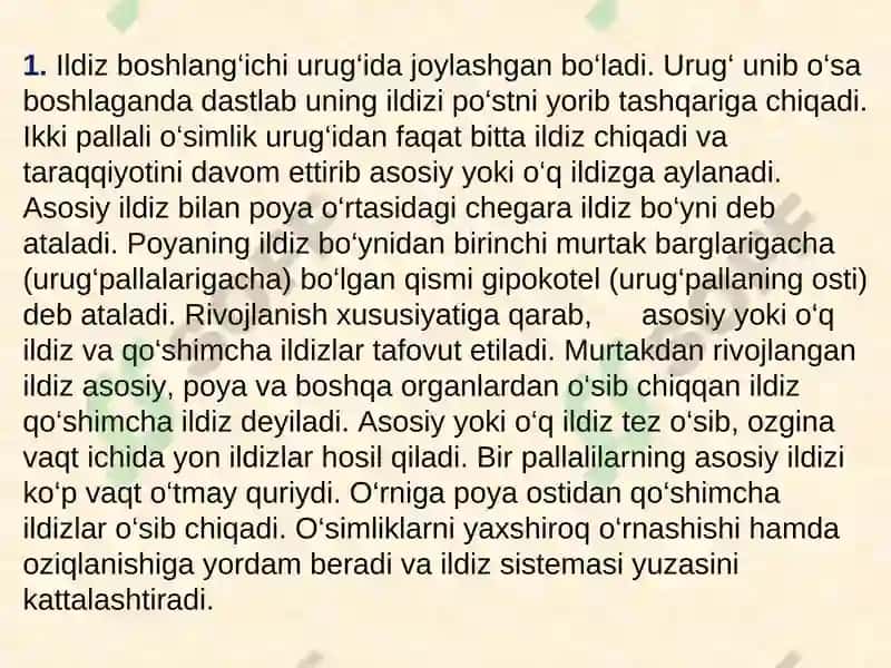 Ildiz va uning vazifasi, tiplari va tuzilishi 5