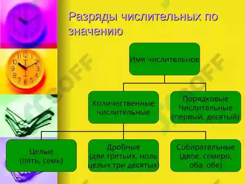 Имя числительное 5