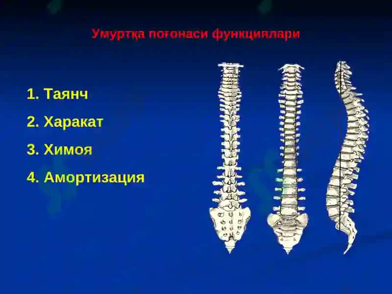 Умуртқа поғонаси ва чаноқ сохаси жароҳатлари 5