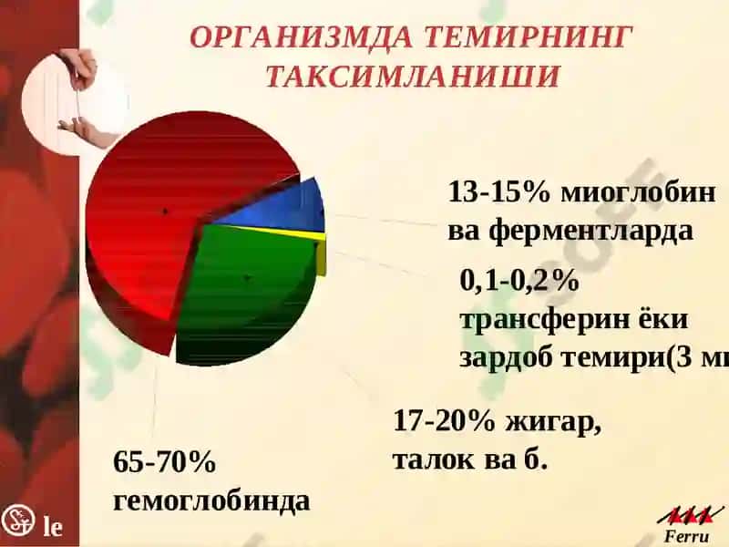 TEMIR TANҚISLIK ANEMIYASI 5