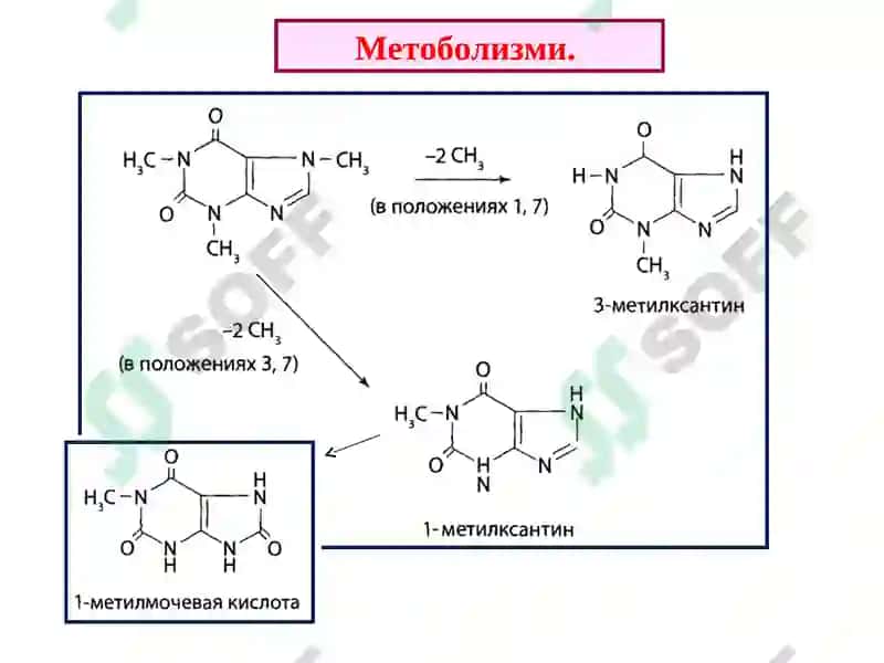 Ксантин ҳосиласини сақловчи алкалоидлар 5