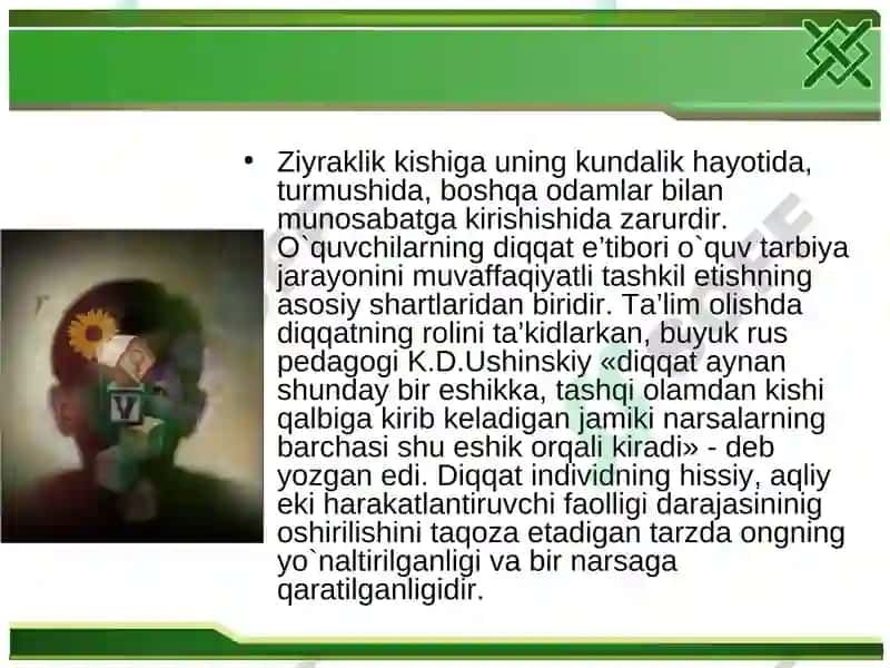 Diqqatning psixofiziologiyasi 5