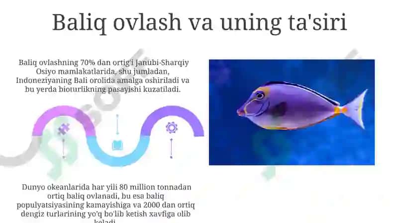 Baliqlar va dengizda yashovchilar 5