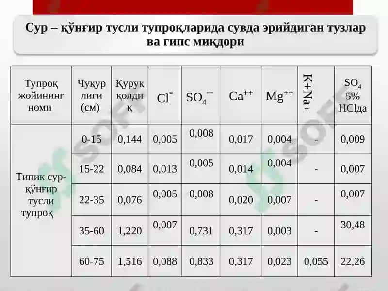 Гидроморфтупроқлар. Чўл зонаси тупроқлари 5