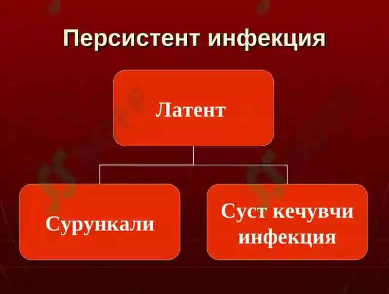 Суст борувчи инфекцион касалликлар 5
