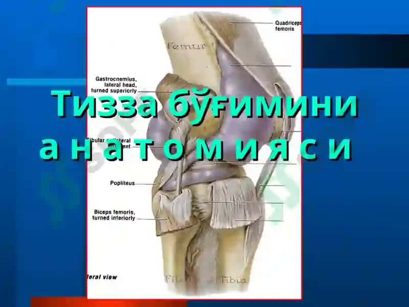 ТОШКЕНТ ТИББИЁТАКАДЕМИЯСИ ТРАВМАТОЛОГИЯ, ОРТОПЕДИЯ ВА ХДЖ КАФЕДРАСИ ЛЕКЦИЯ 5