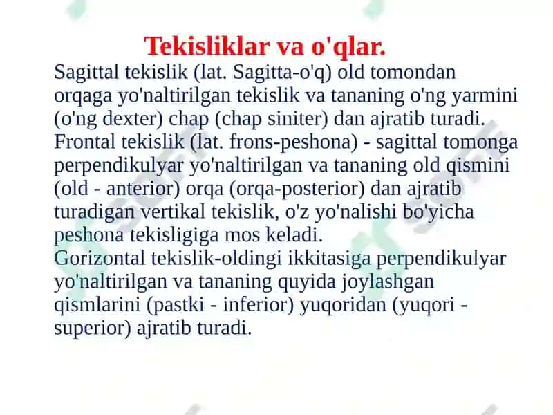 Inson anatomiyasi 5