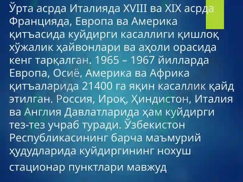 Куйдирги 5