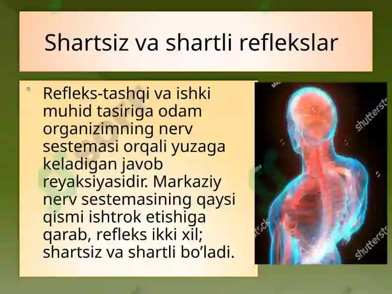 Yo'nalish refleksiya 5