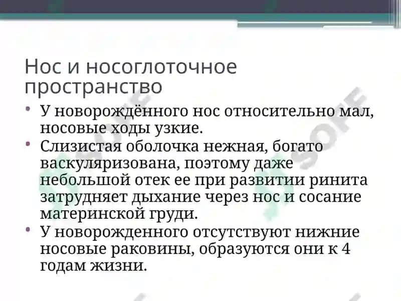 Анатомо-физиологические особенности органов дыхания детей 5