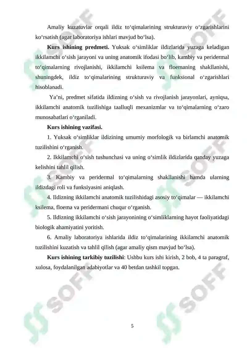 Yuksak o’simliklar ildizlarining ikkamchi anatomik tuzilishi 5