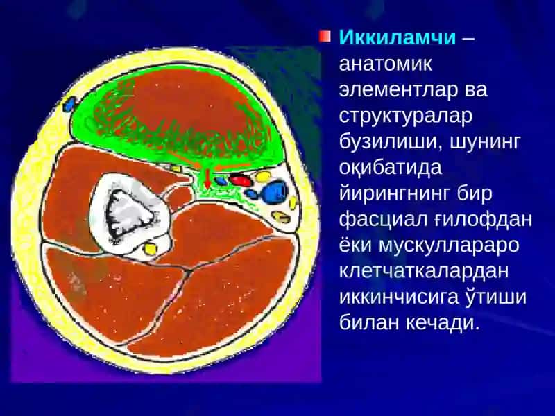 ЙИРИНГЛИ ЖАРАЁНЛАРНИ ЖАРРОҲЛИК ЙЎЛИ БИЛАН ДАВОЛАШНИНГ АСОСИЙ ТАМОЙИЛЛАРИ. 5