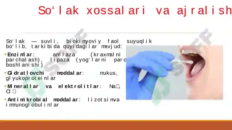 OG'IZ BO'SHLIG'IDA XAZM QILISH JARAYONINI O'RGANISH,SO'LAK XOSSALARI VA AJRALISHINI TEKSHIRISH.-SO'LAKNING AMILOLITIK AKTIVLIGINI KUZATISH MM DASTURI «AMALIYOT FIZIOLOGIYASIE -LESHLI-KRASNOGORSKIY KAPSULASINING NAMOYISHI 5
