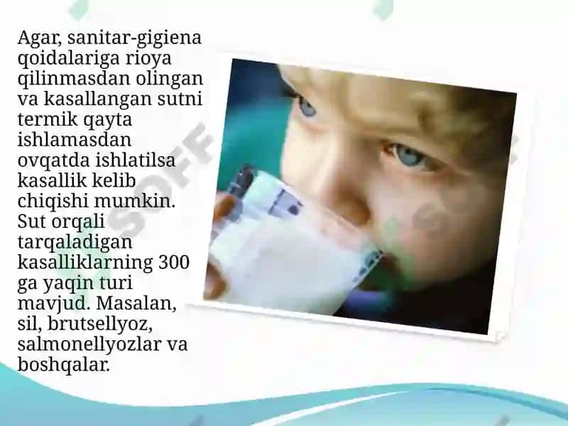 Sut, sut mahsulotlari va tuxum mikrobiologiyasi 5