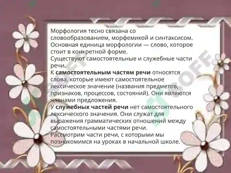 История русского языка 5
