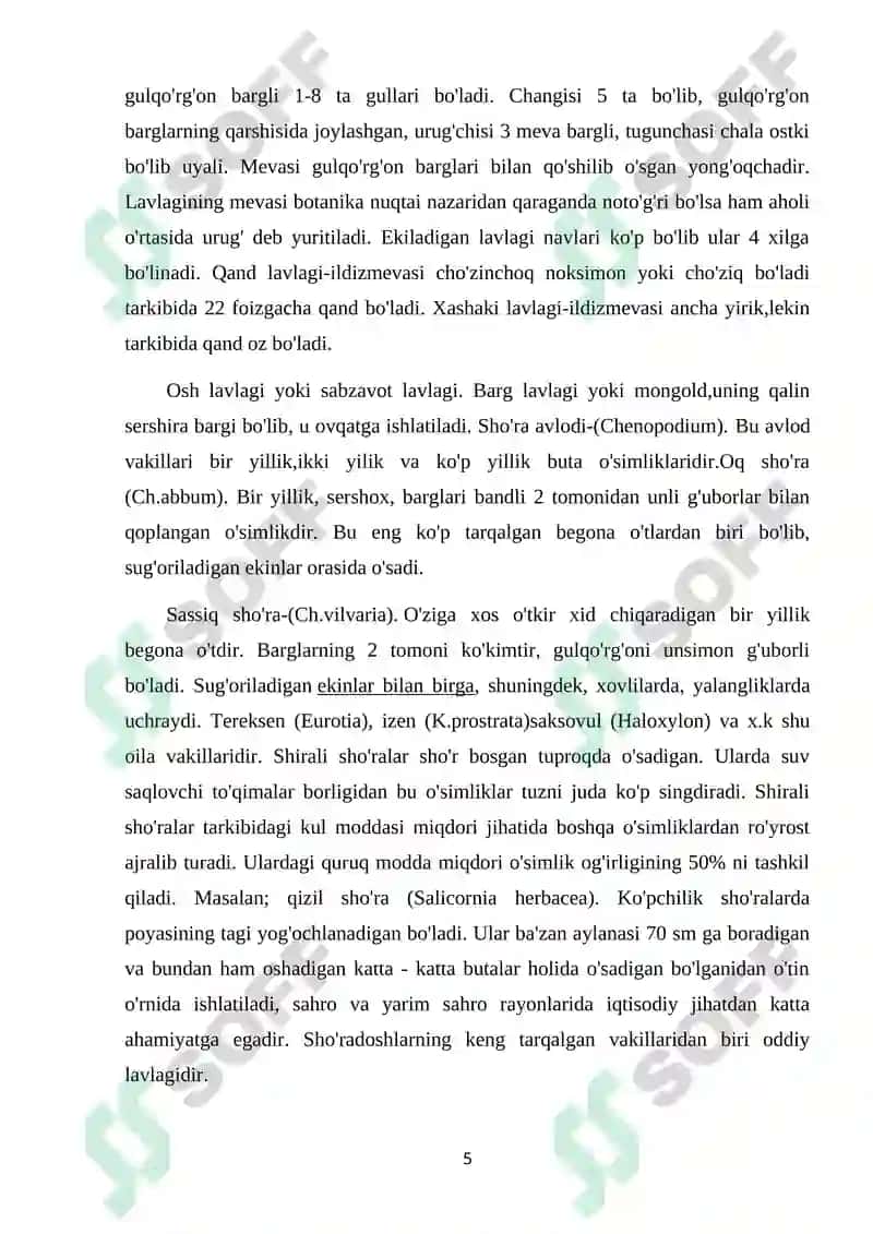SHO’RADOSHLAR OILASI HAQIDA UMUMIY MA’LUMOT VA JAG’-JAG’ O‘SIMLIGI 5