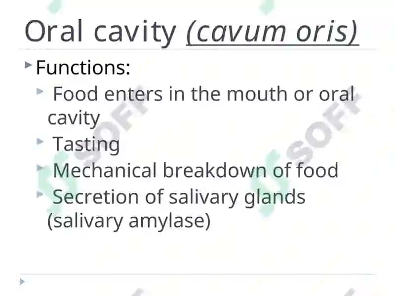The Alimentary Tract 5