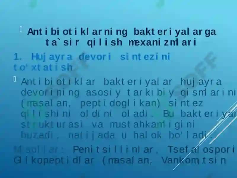 Bakteriyalarning antibiotiklarga chidamli shakllarini paydo bo'lish mexanizmlari 5