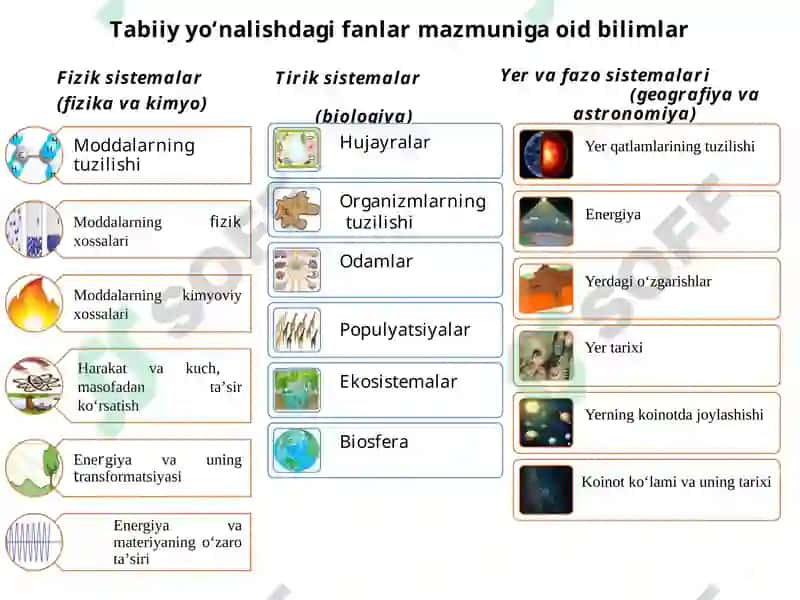 XALQARO TADQIQOTLARDA O‘QUVCHILARNING TABIIY FANLAR BO'YICHA SAVODXONLIGINI BAHOLASH 5