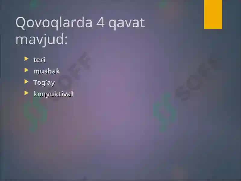 Qovoq kasalliklari 5
