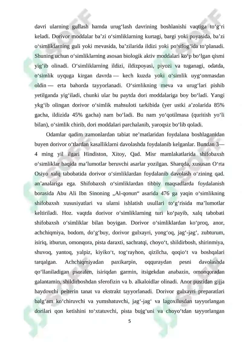 XALQ TABOBATIDA KENG QO’LLANILADIGAN DORIVOR O’SIMLIKLAR VA ULARGA BOTANIK TAFSIF 5