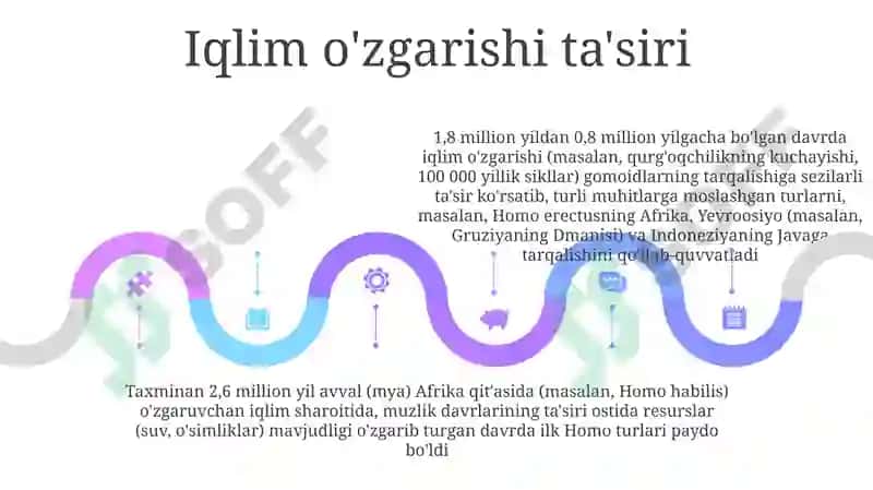 Primatlar kelib chiqishi va hominidlar evolyutsiyasi 5