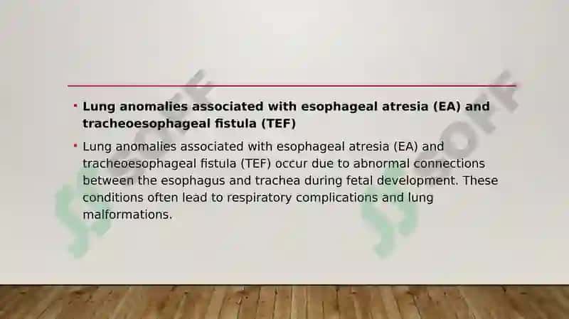 Lung Pathology 5