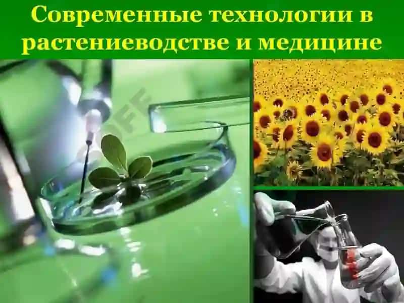 Қишлоқ хўжалик экинларини соғломлаштиришнинг биотехнологик асослари. 5