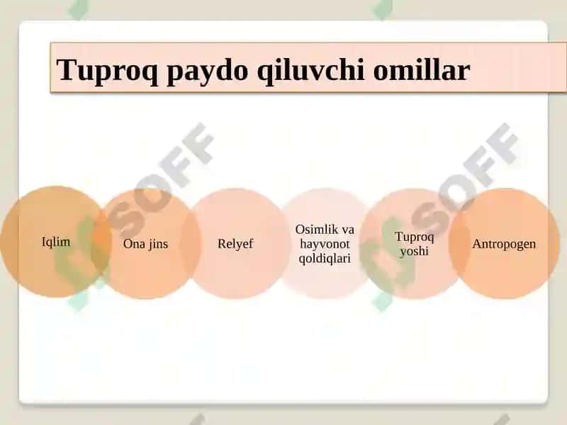 ТУПРОҚ ПАЙДО БЎЛИШ ЖАРАЁНЛАРИНИНГ УМУМИЙ СХЕМАСИ 5