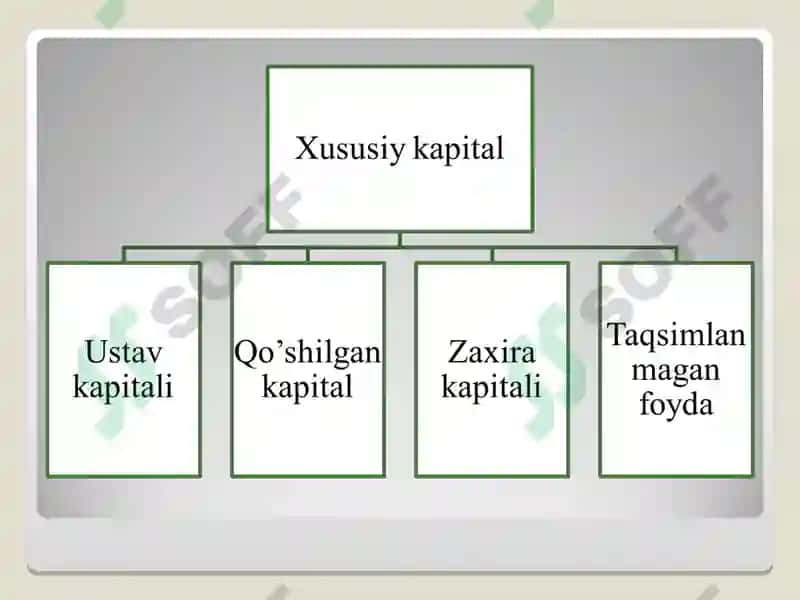 Xususiy Kapital Audit 5