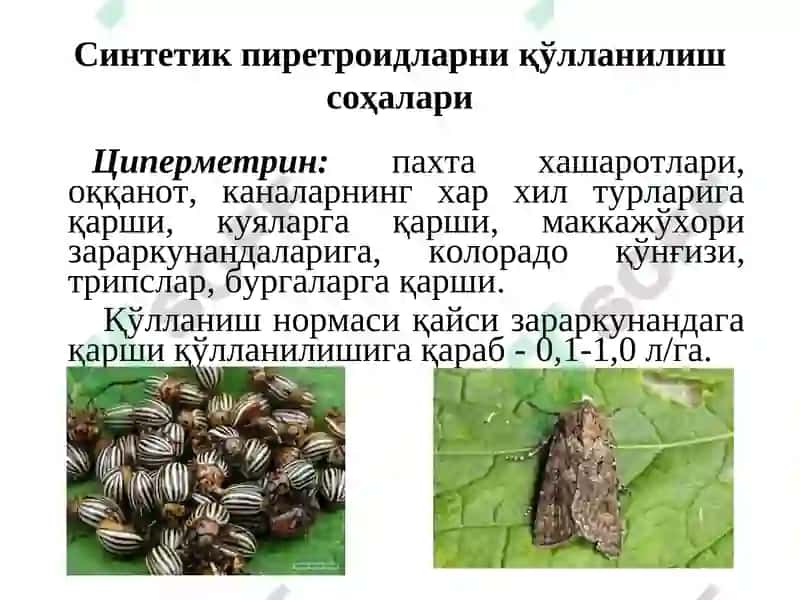 Қишлоқ хўжалик химикатлари. Синтетик пиретроидлар ҳосилалари. Уларни объектлардан ажратиб олиш ва таҳлил усуллари 5