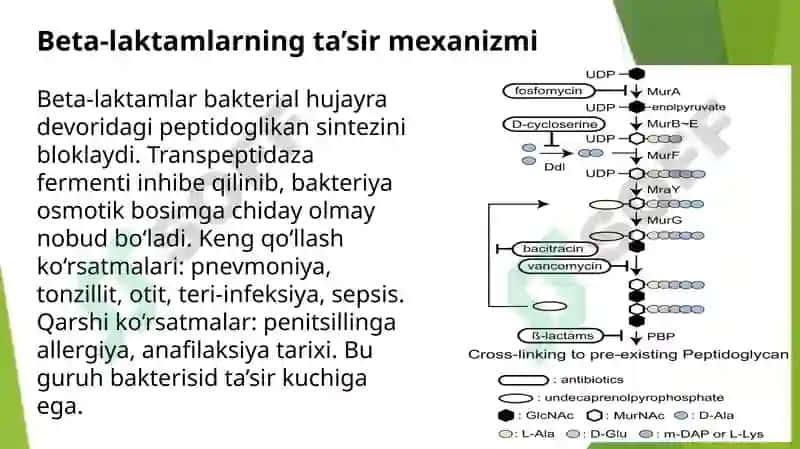 Infeksion kasalliklarni ratsional davolashga klinik farmakologik yondashuv 5