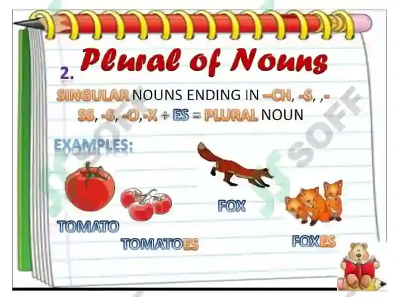 Plural of Nouns 5