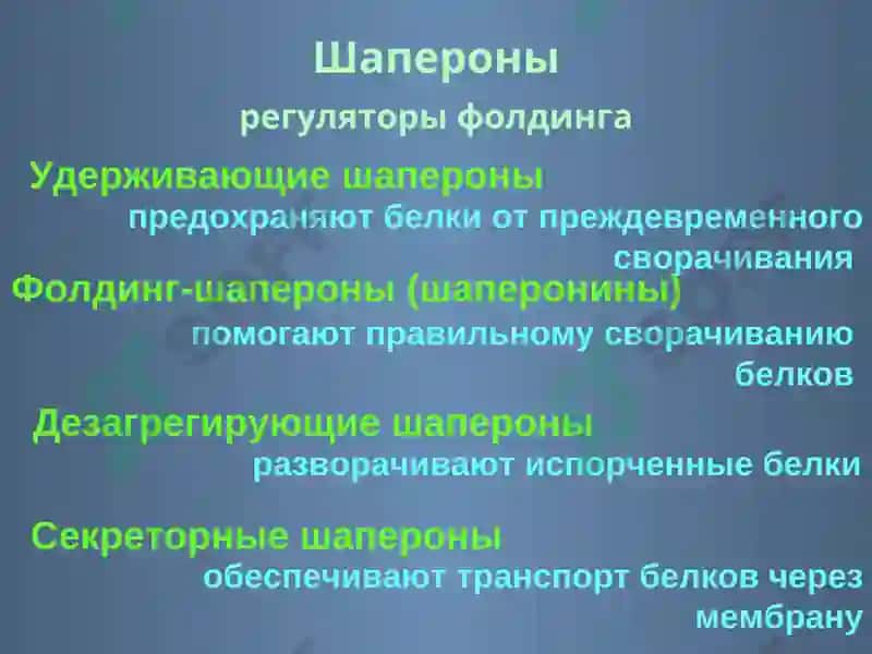 Фолдинг 5