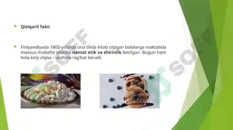 Ona Tili Ta'limida Rivojlangan Xorijiy Davlatlar Tajribasi 5