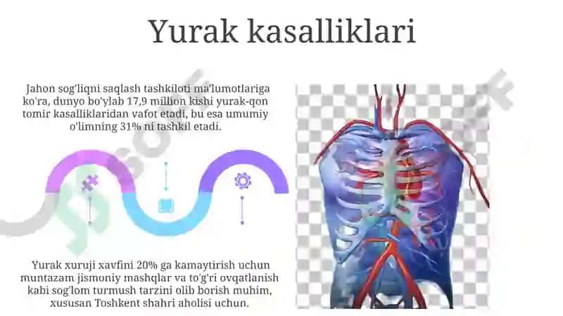 Umurtqali hayvonlarning qon aylanish sistemasi 5