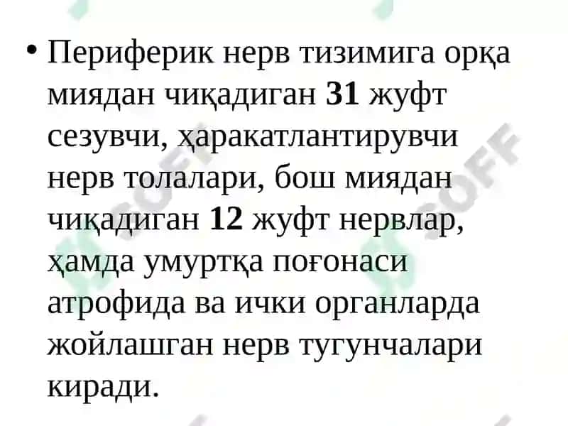 Nerv tizimi umumiy fiziologiyasi 5