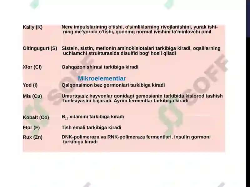 Akademik litseyni biologiya fanio’qituvchisi 5