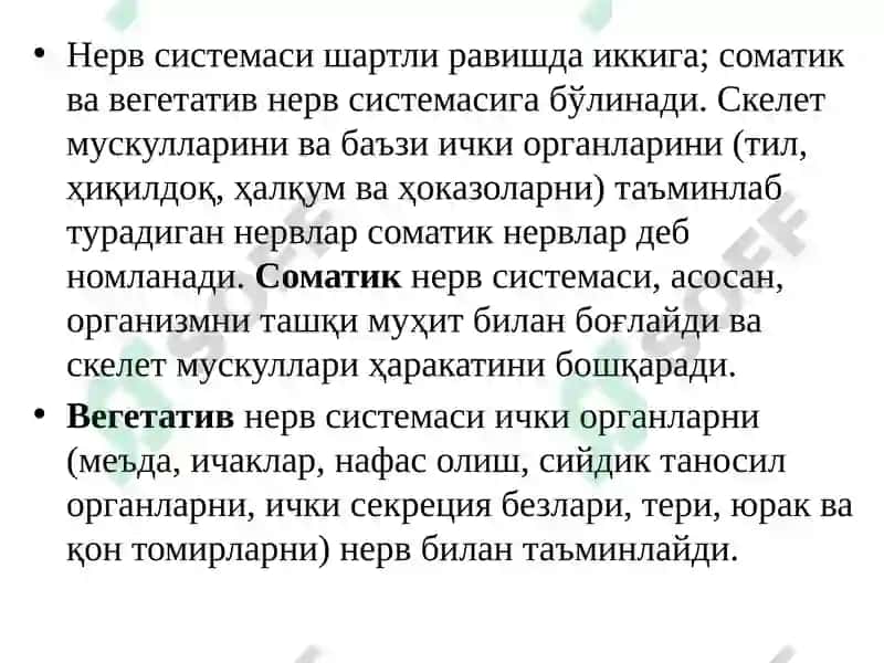 Nerv tizimi umumiy fiziologiyasi 6